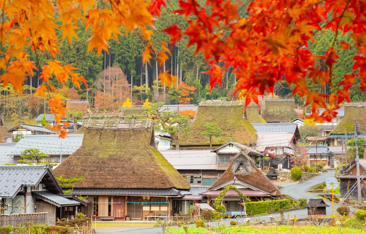 From Osaka: Miyama Kayabuki no Sato, Amanohashidate & Ine Bay Day Tour