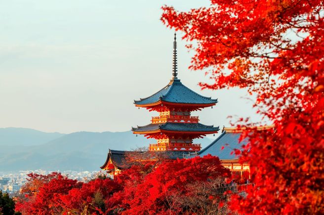 From Osaka: Nara Todaiji & Kasuga Taisha and Kyoto Kiyomizu-dera Day Tour