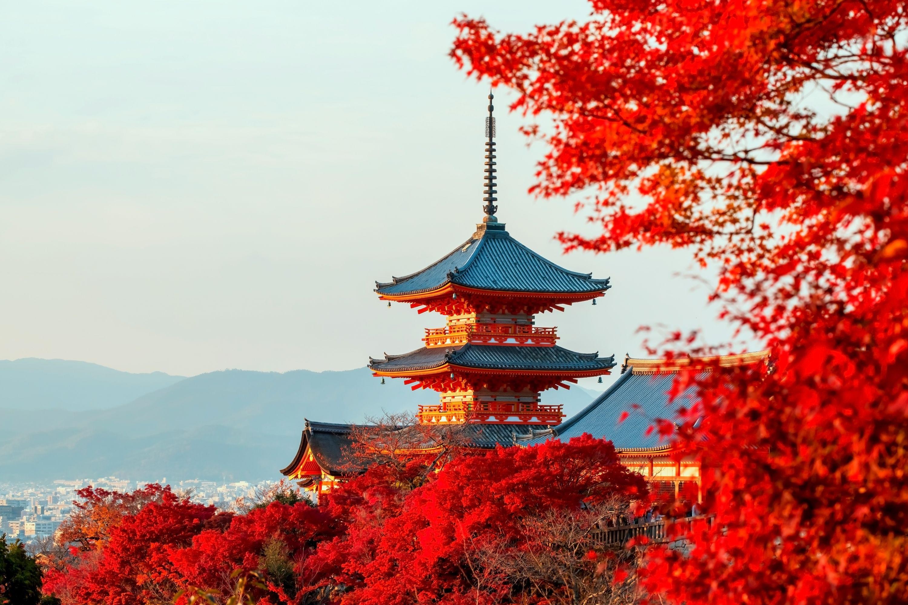 From Osaka: Nara Todaiji & Kasuga Taisha and Kyoto Kiyomizu-dera Day Tour