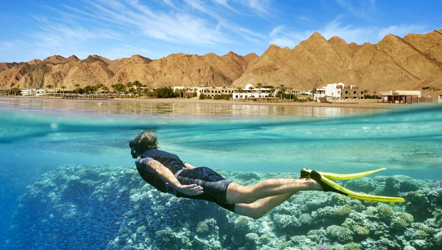 From Cairo: Red Sea Ain Sokhna Beach Private Day Trip - Lunch Included