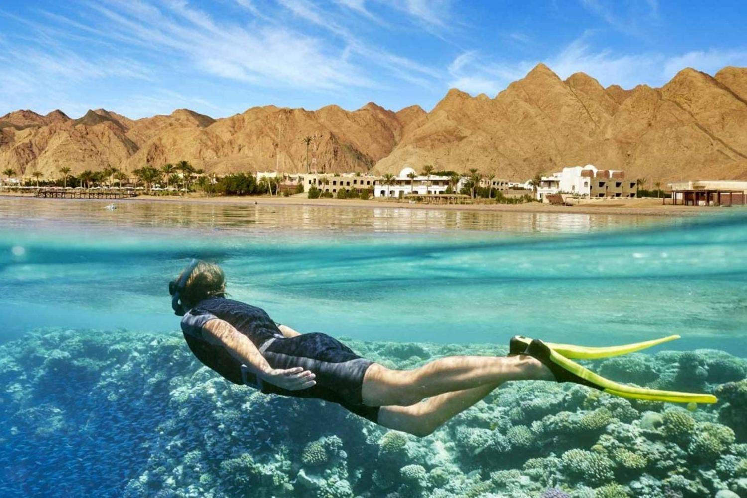 From Cairo: Red Sea Ain Sokhna Resort Day-Use Day Trip