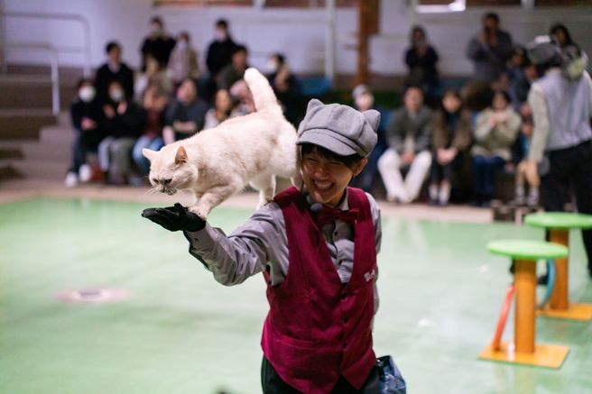 Tochigi Nasu Animal Kingdom Admission Ticket