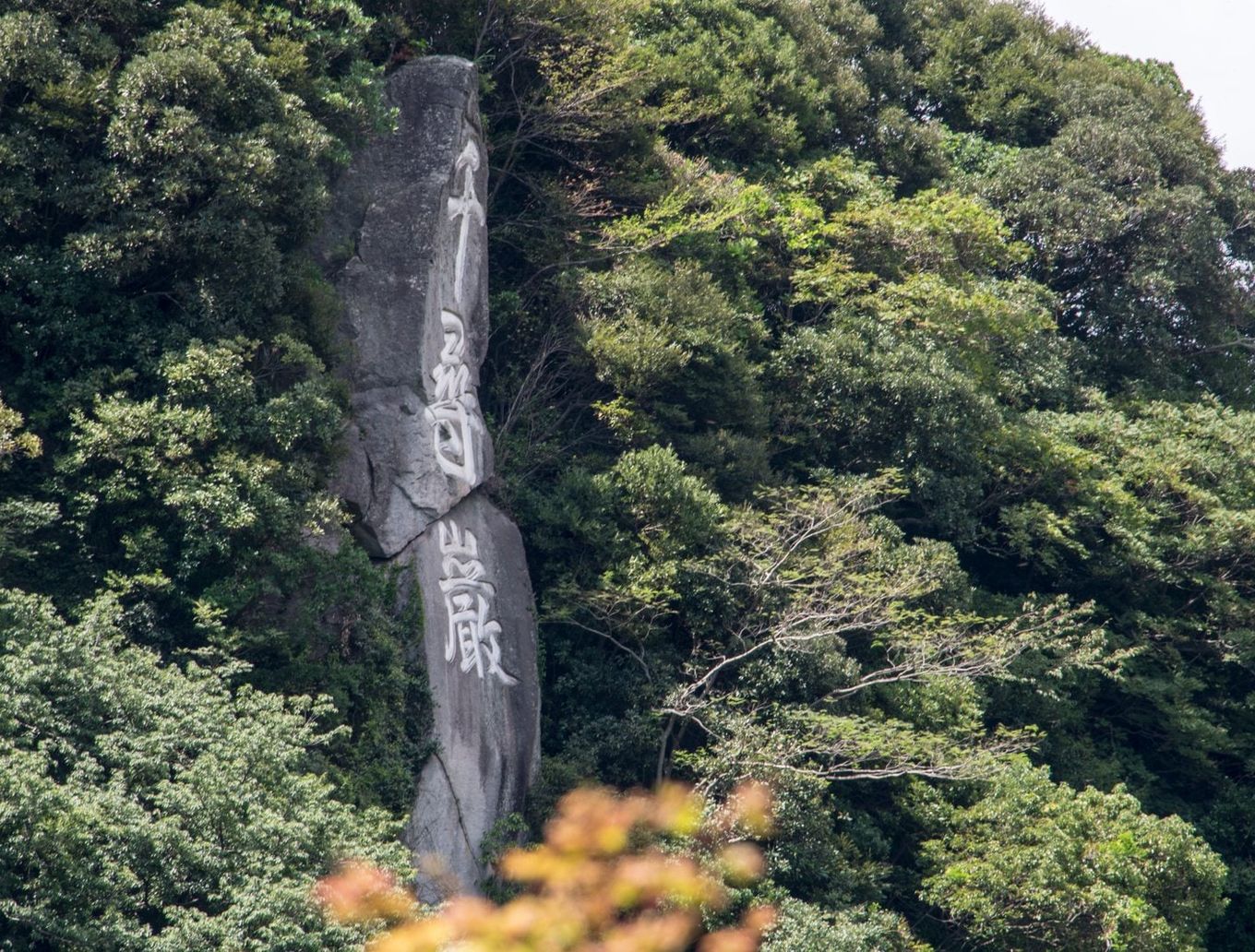 detail_image