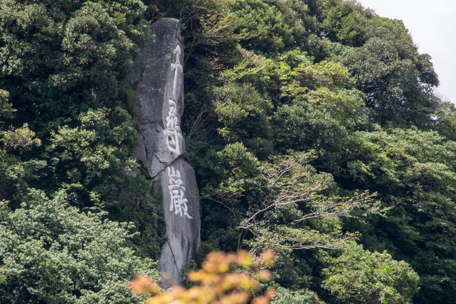 가고시마 센간엔 입장권 (어전·쇼코 슈세이칸 포함)