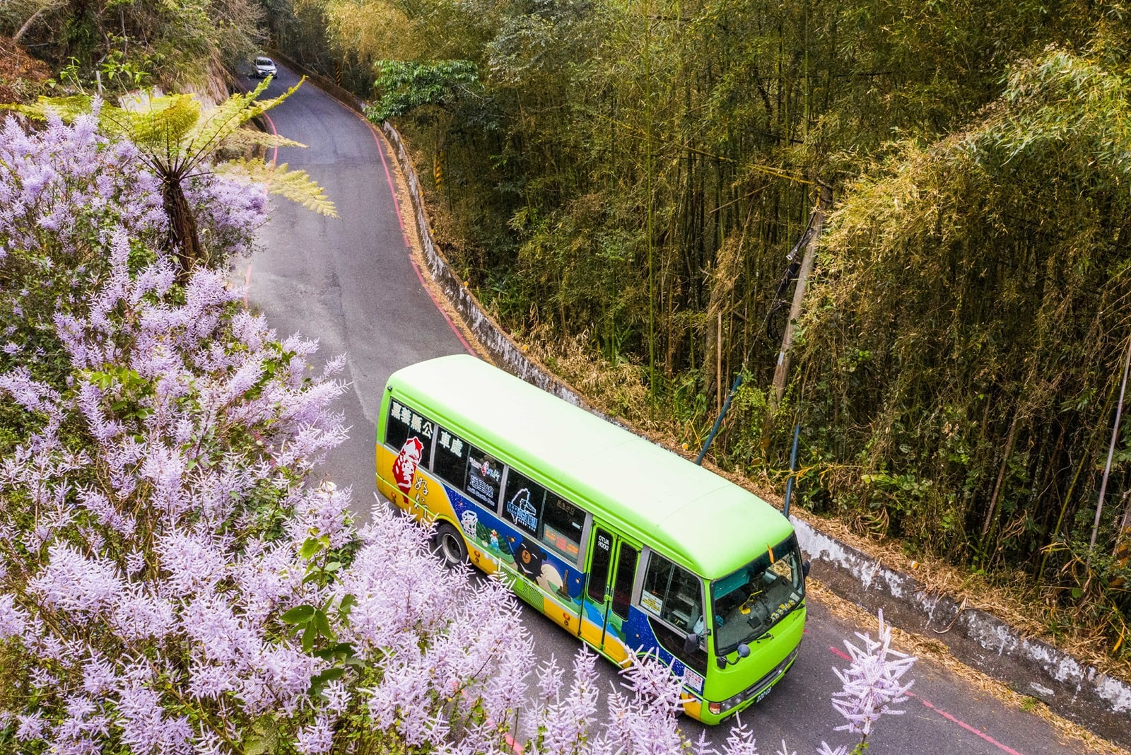 Nantou Travel Card: 3-Day Unlimited Bus Pass - Sun Moon Lake, Cingjing & Xitou (Pick up at HSR Taichung Station)