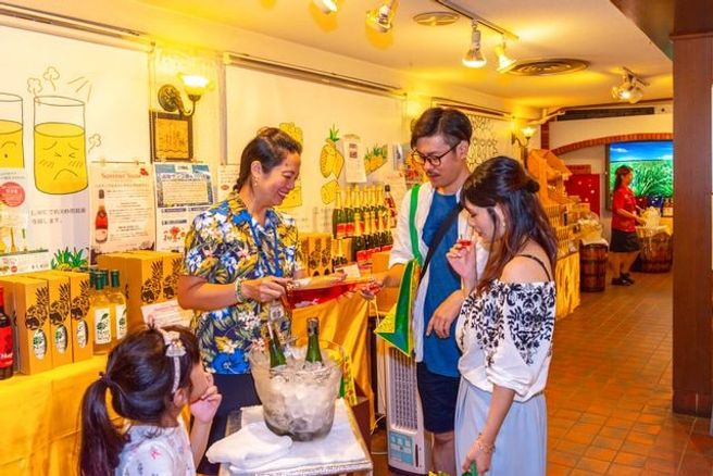 沖縄名護パイナップルパーク 入場チケット