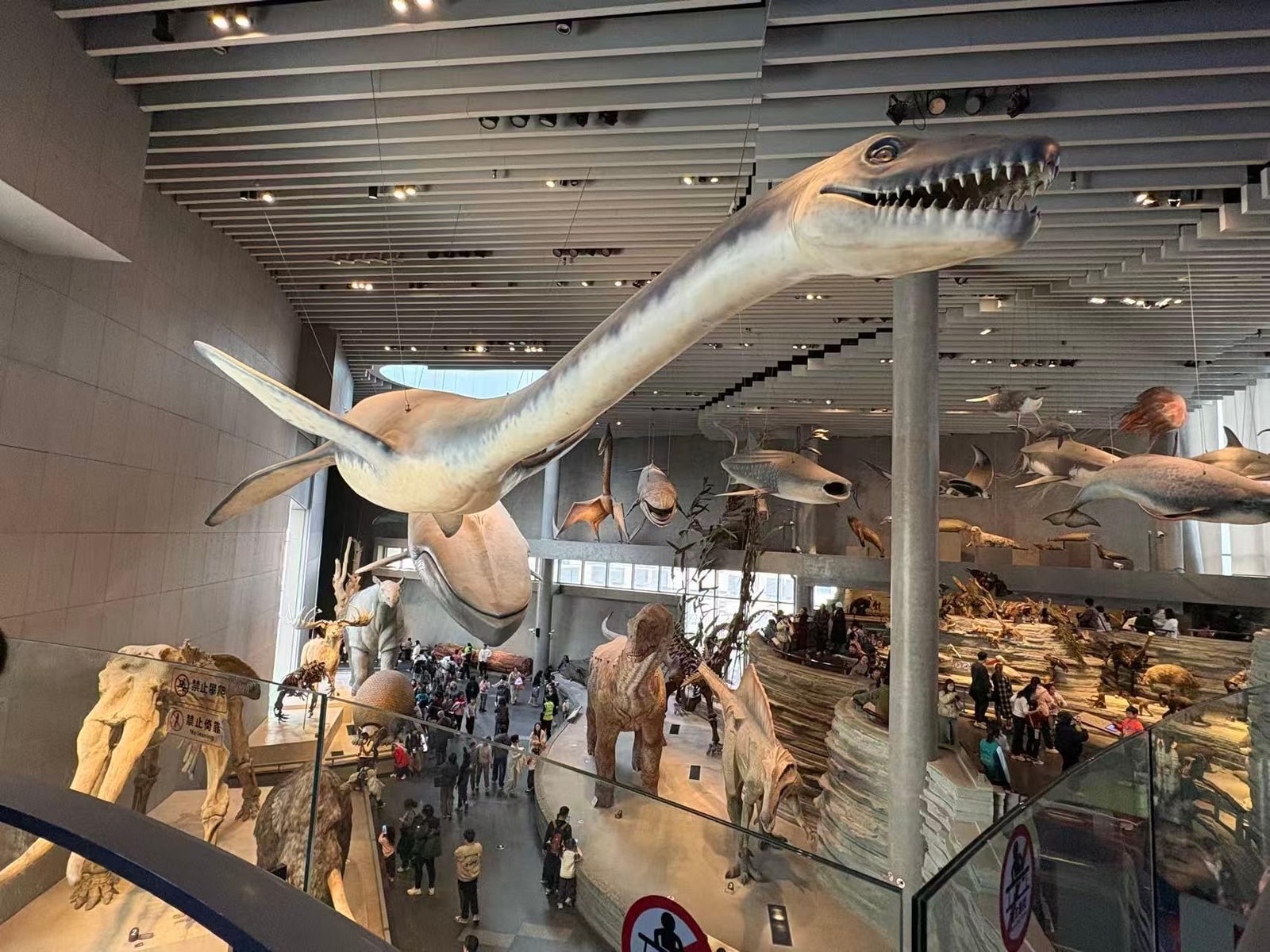 Shanghai Natural History Museum Admission Ticket