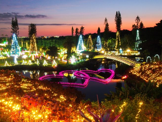Southeast Botanical Gardens Okinawa Day & Night Illumination Ticket