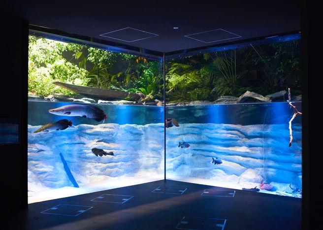 Kanagawa Kawasaki Aquarium Admission Ticket