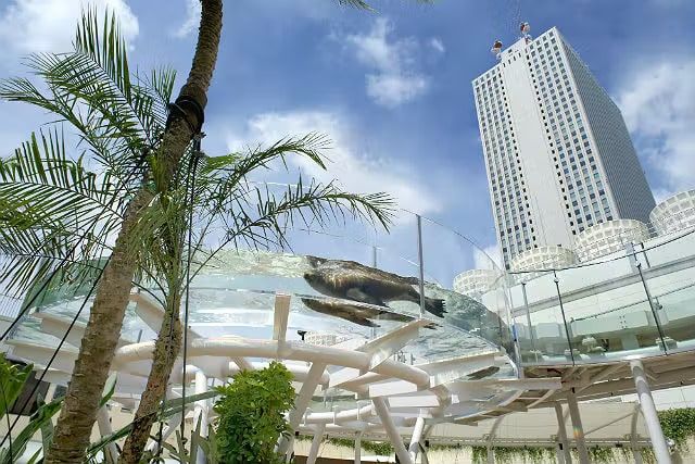 detail_image