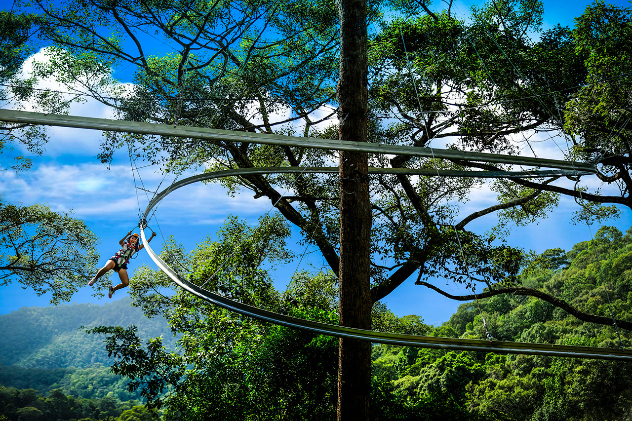Chiang Mai Jungle Flight Zipline Roller Coaster - Lunch and Hotel Pickup