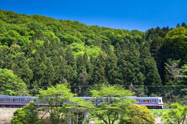 Tokyo Keio & Inokashira Line 1-Day Pass (QR)