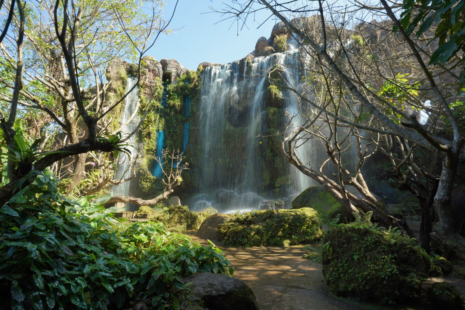 Chiang Mai Dantewada Land of Angels and Bua Tong Sticky Waterfall Day Tour with Lunch Buffet
