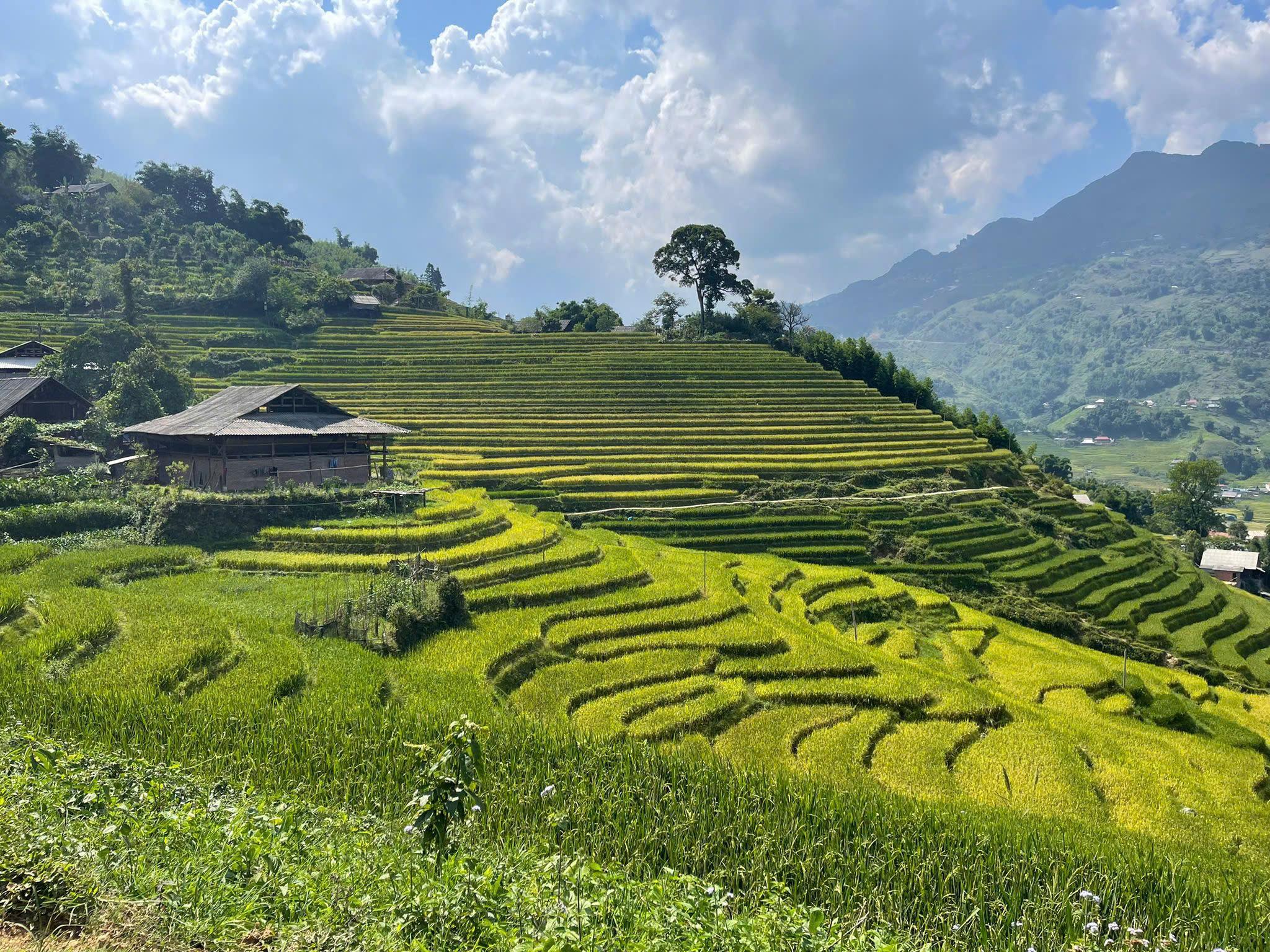 Sapa 2-Day Ham Rong to Giang Ta Chai Trek with Hmong Homestay