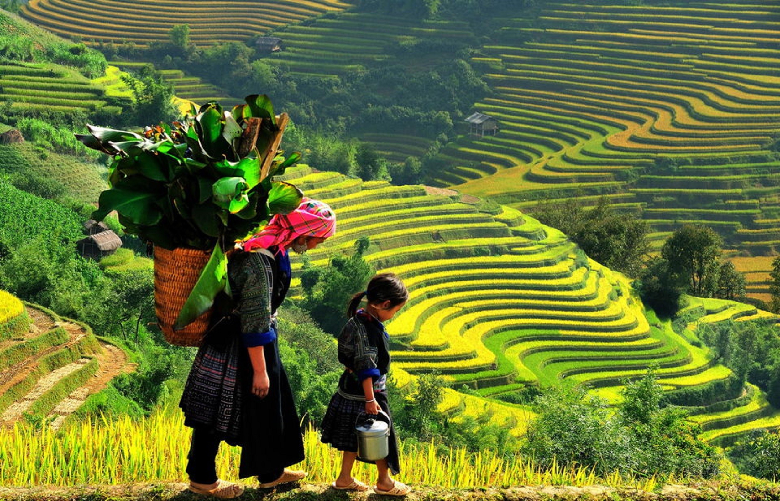 From Hanoi: Sapa Sin Chai & Lao Chai & Ta Van 2-Day Trek - Overnight Train
