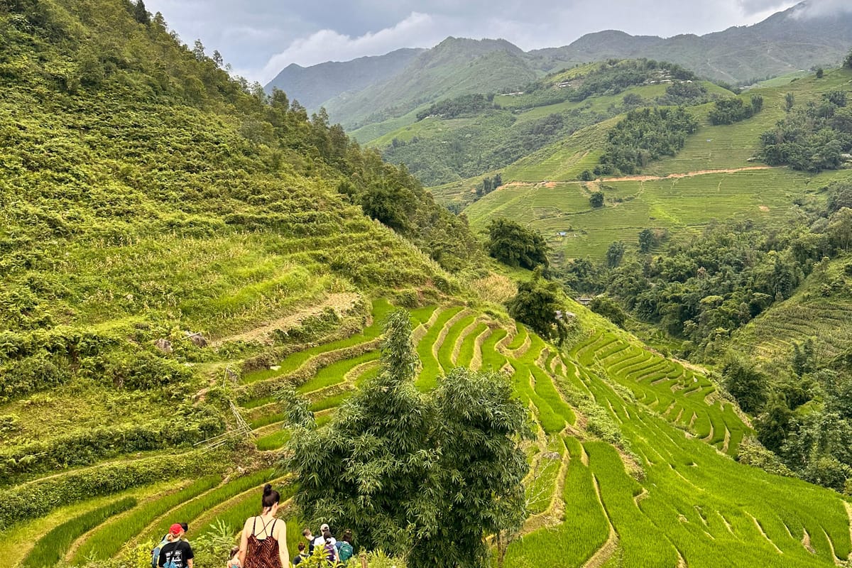 Sapa Y Linh Ho Lao Chai & Ta Van Rice Terrace Trek - Hmong House Visit