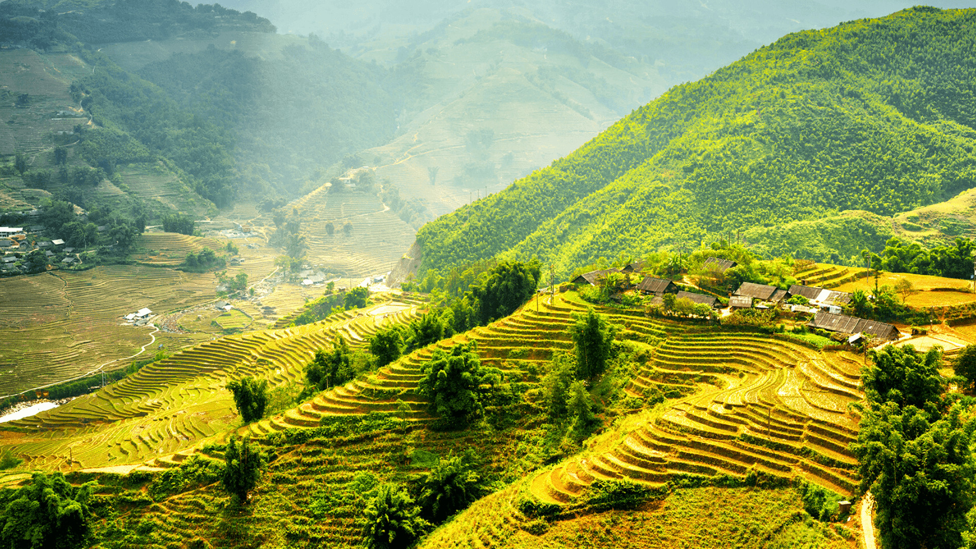 From Hanoi/Sapa: Sapa Hau Thao Village 2-Day Trekking Tour with Local Homestay
