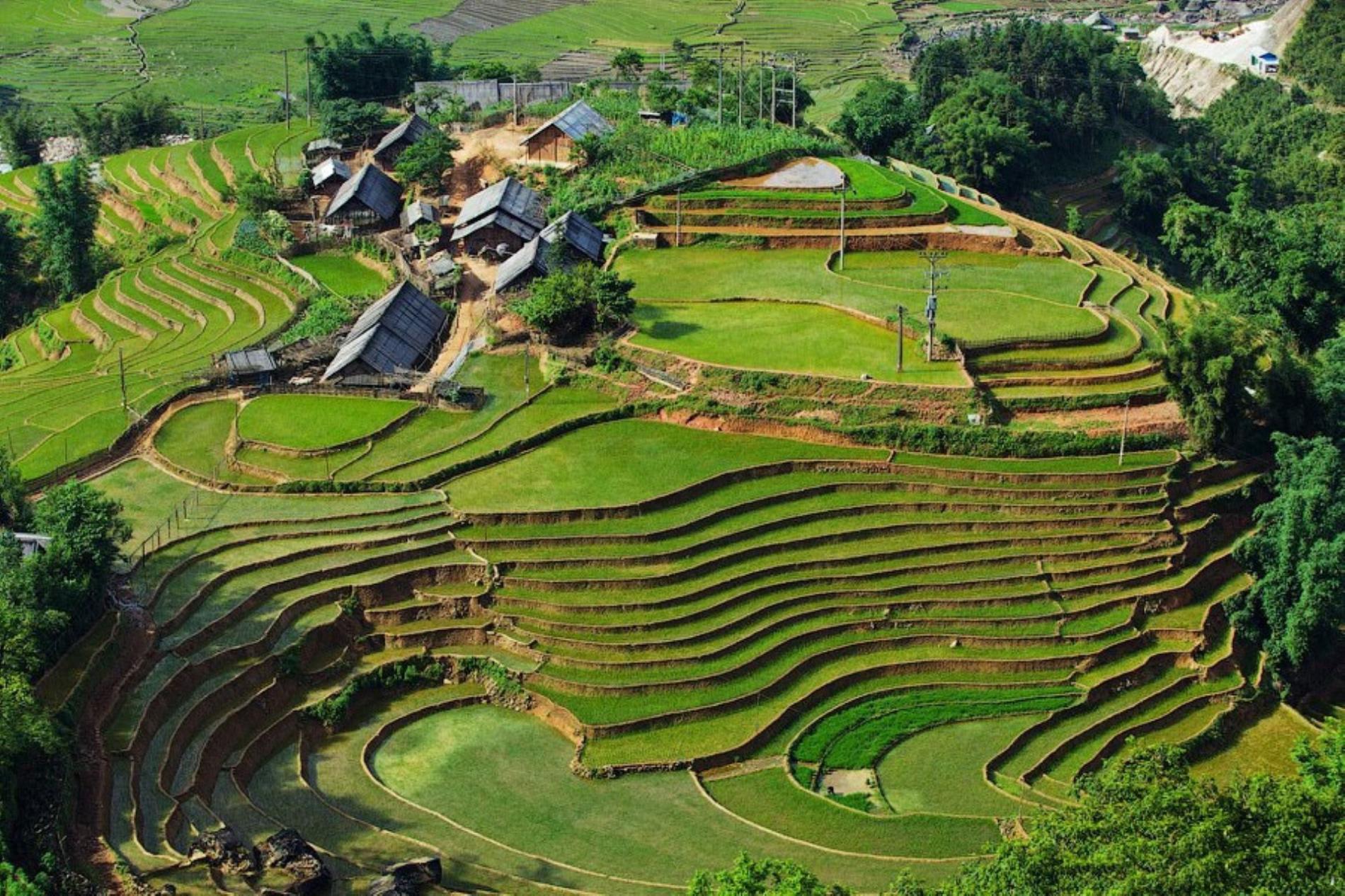From Hanoi/Sapa: Sapa Y Linh Ho & Ta Van & Giang Ta Chai 2-Day Trekking Tour