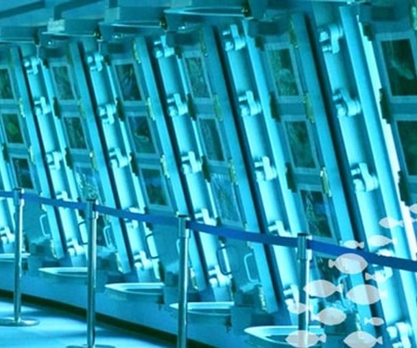 activity_detail_image
