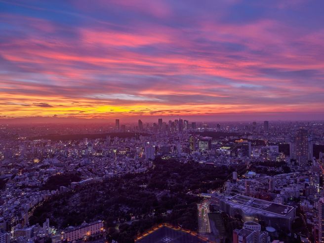 Tokyo City View Roppongi Hills + Subway 24-Hour Ticket
