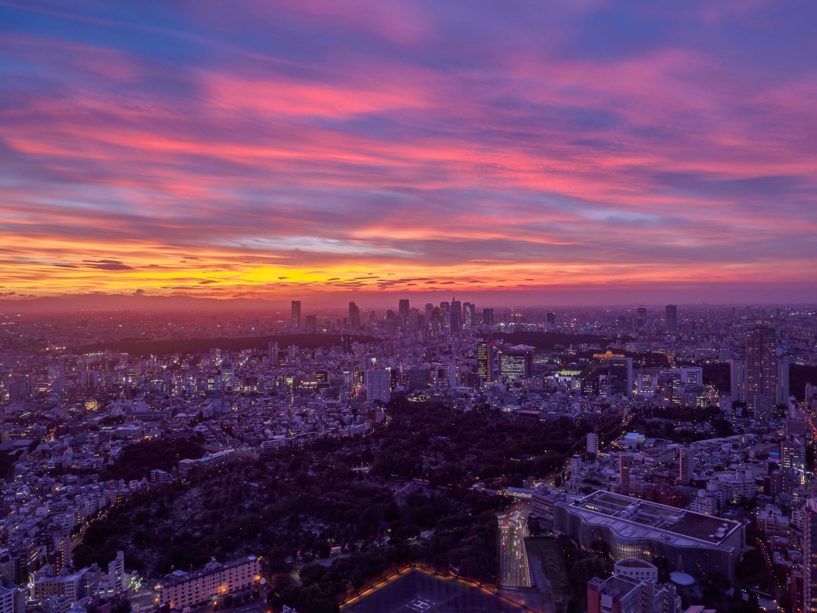 Tokyo City View Roppongi Hills + Subway 24-Hour Ticket