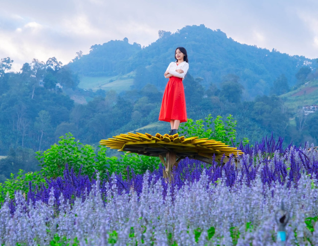 Chiang Mai Mon Cham & Alpaca Farm Cafe & Dantewada Private Tour - Hotel Pickup