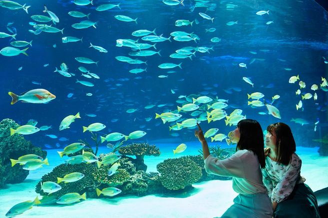 Tokyo Sunshine Aquarium Ticket + Tokyo Subway 24-Hour Ticket