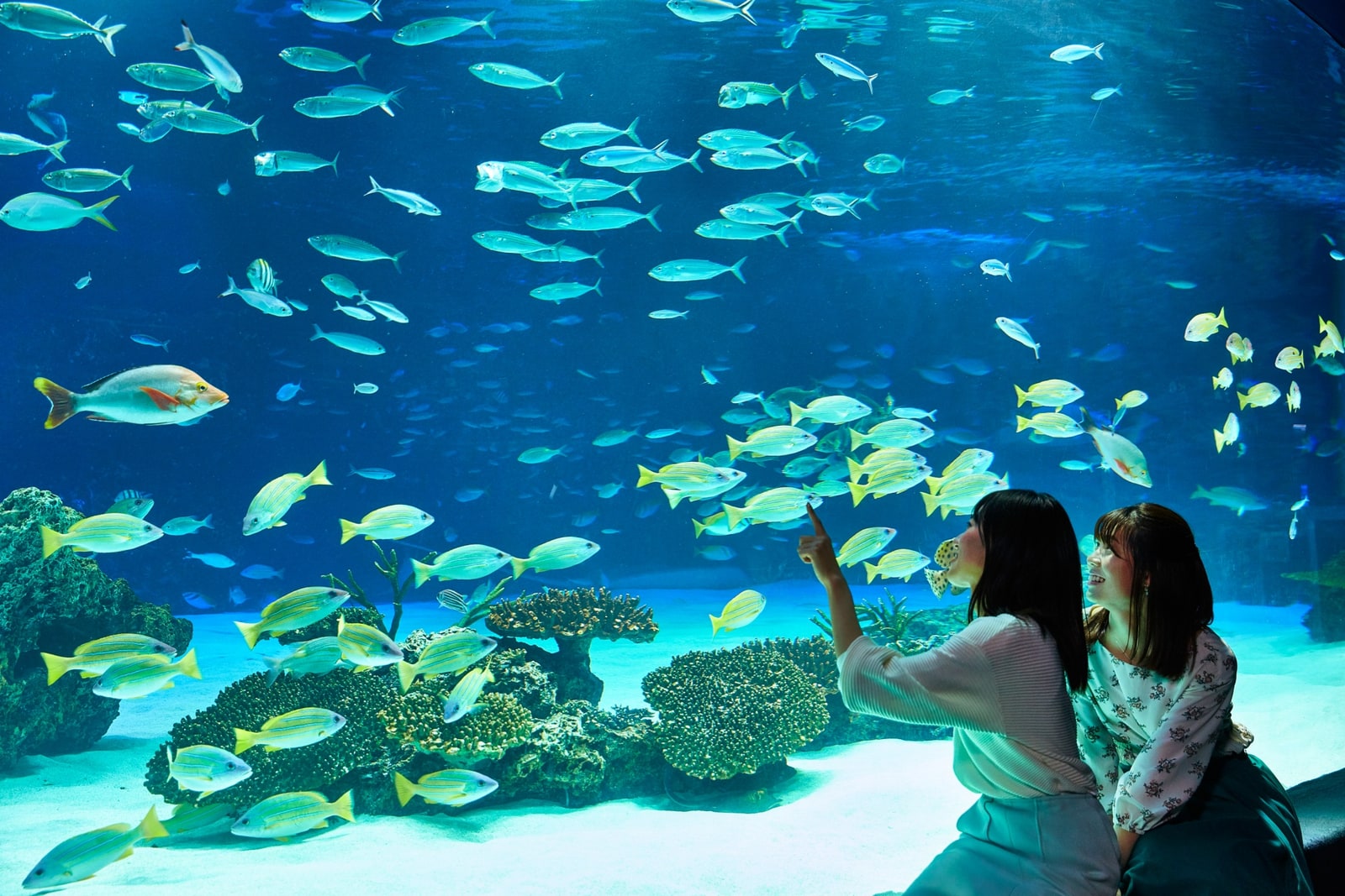 Tokyo Sunshine Aquarium Ticket + Tokyo Subway 24-Hour Ticket