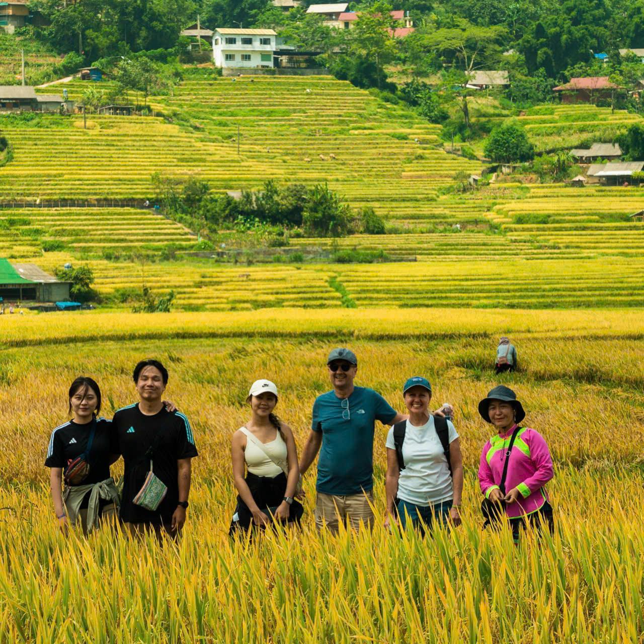Sapa Y Linh Ho Lao Chai & Ta Van Village Half-Day Trek - Transfers Included