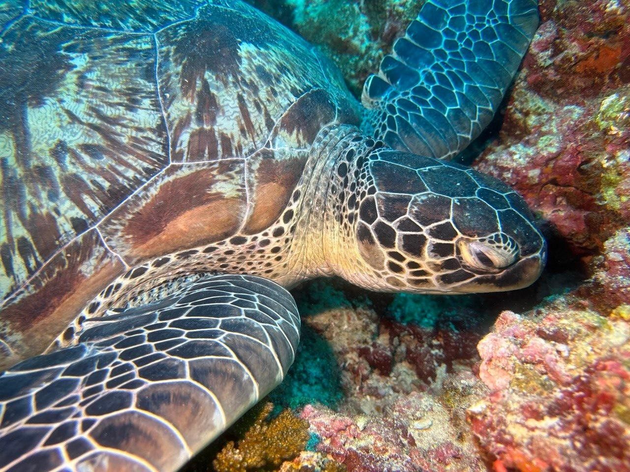 detail_image