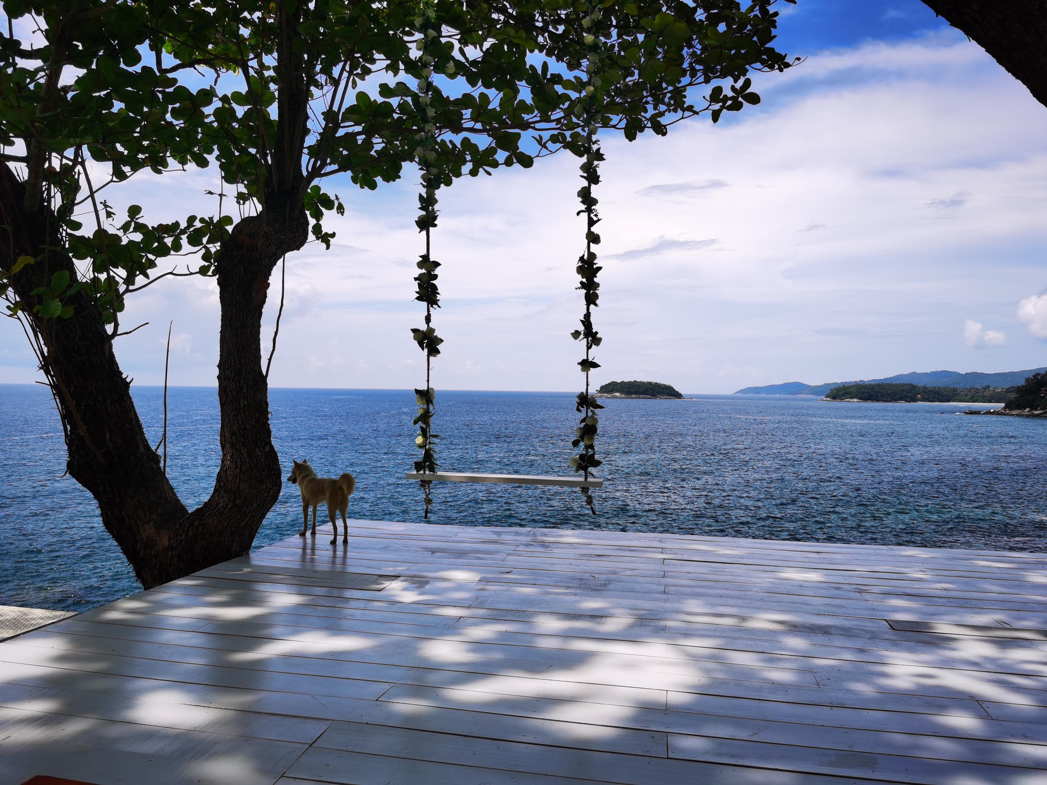 Phuket Rock Beach Swing & Sky Ladder Entry Ticket