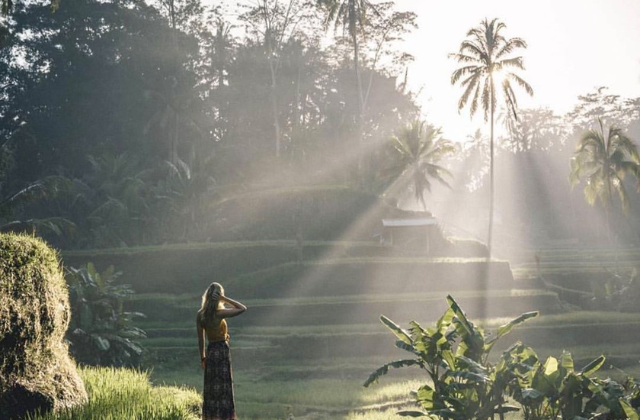 Bali Ubud Private Tour (Waterfall, Monkey Forest, Tegalalang Rice Terrace)