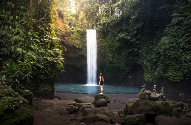 Bali Ubud Private Tour (Waterfall, Monkey Forest, Tegalalang Rice Terrace)