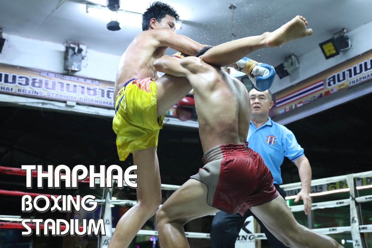 Chiang Mai Tha Phae Boxing Stadium Muay Thai Match Ticket