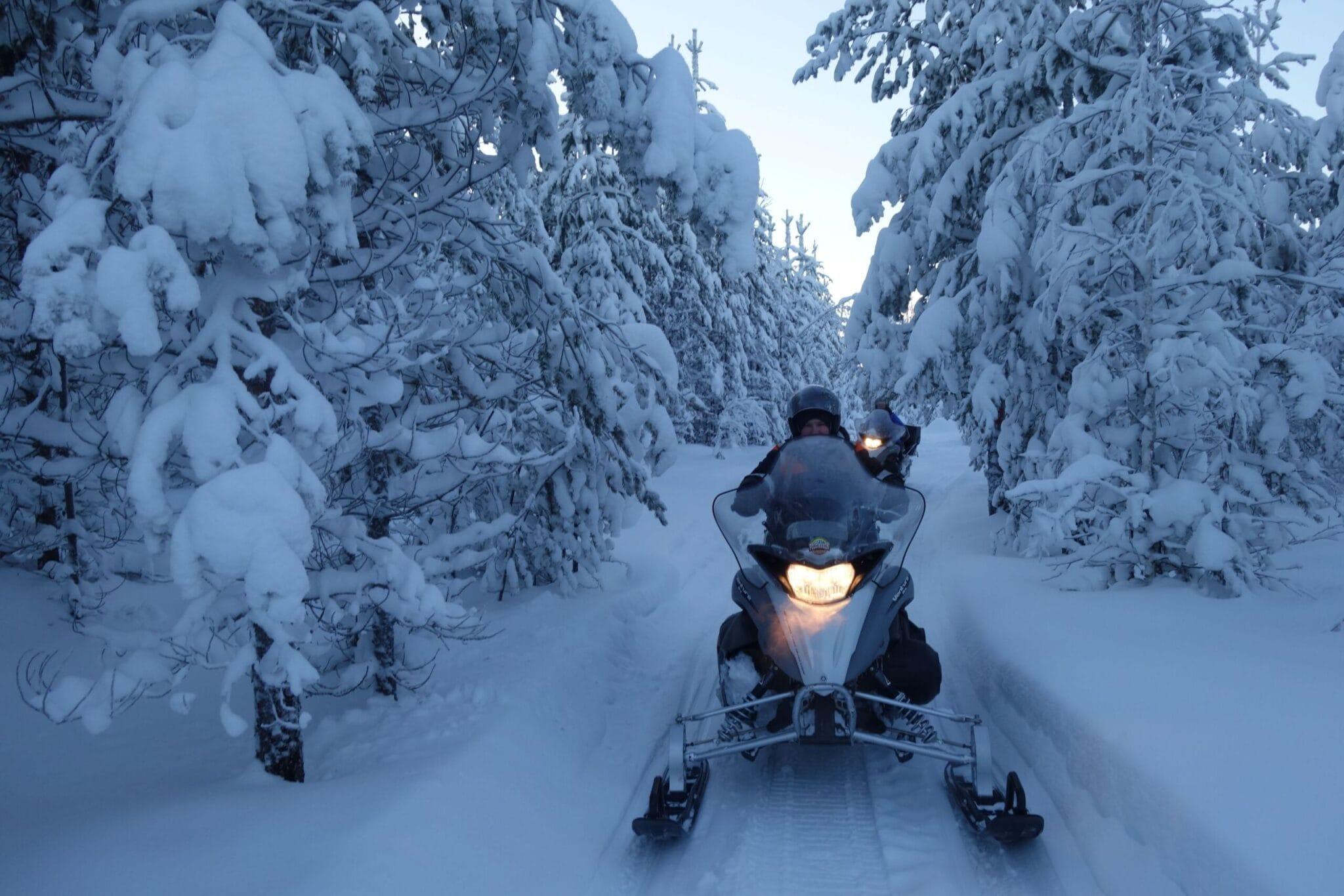 Luleå Snowmobile Guided Tour - Forest & Frozen Lakes (2 or 4 Hours)