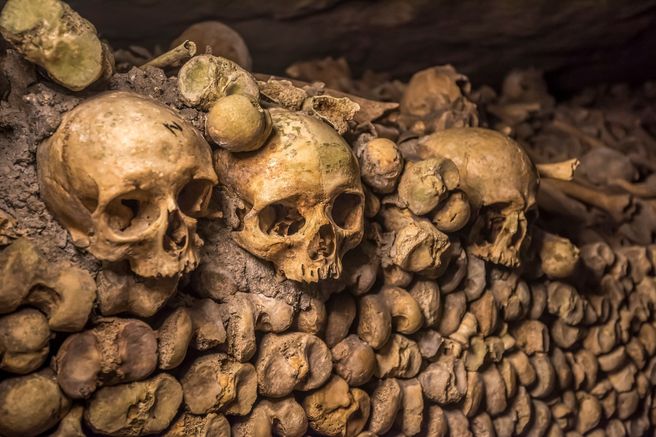 Paris Catacombs Skip-the-Line Guided Tour - Restricted Area Access