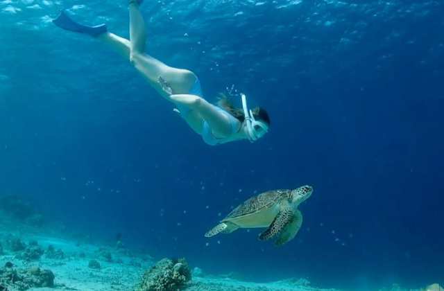 Bali Blue Lagoon Snorkeling Tour (Lunch Included)