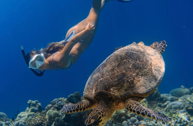 Bali Blue Lagoon Snorkeling Tour (Lunch Included)