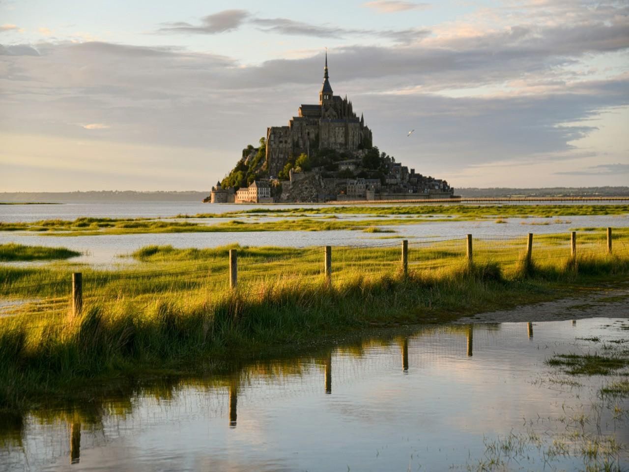 detail_image