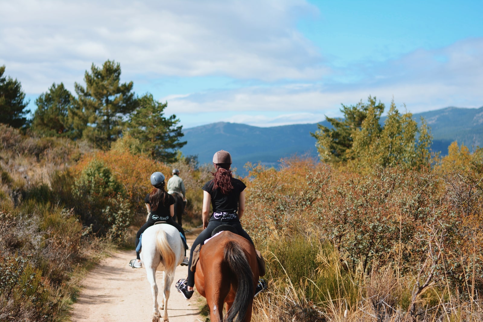 Madrid Area: Horseback Riding in Sierra de Guadarrama National Park - Small Group