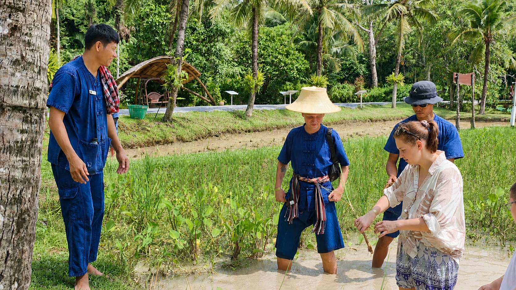 Phuket Old Phuket Farm 6 Thai Cultural Experiences with Buffalo Feeding