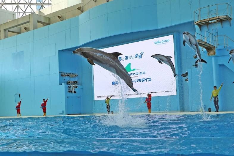 Yokohama Hakkeijima Sea Paradise Night Aqua Resorts Pass