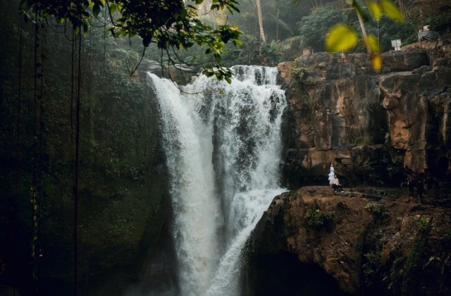 Bali Ubud Private Tour (Waterfall, Monkey Forest, Tegalalang Rice Terrace)