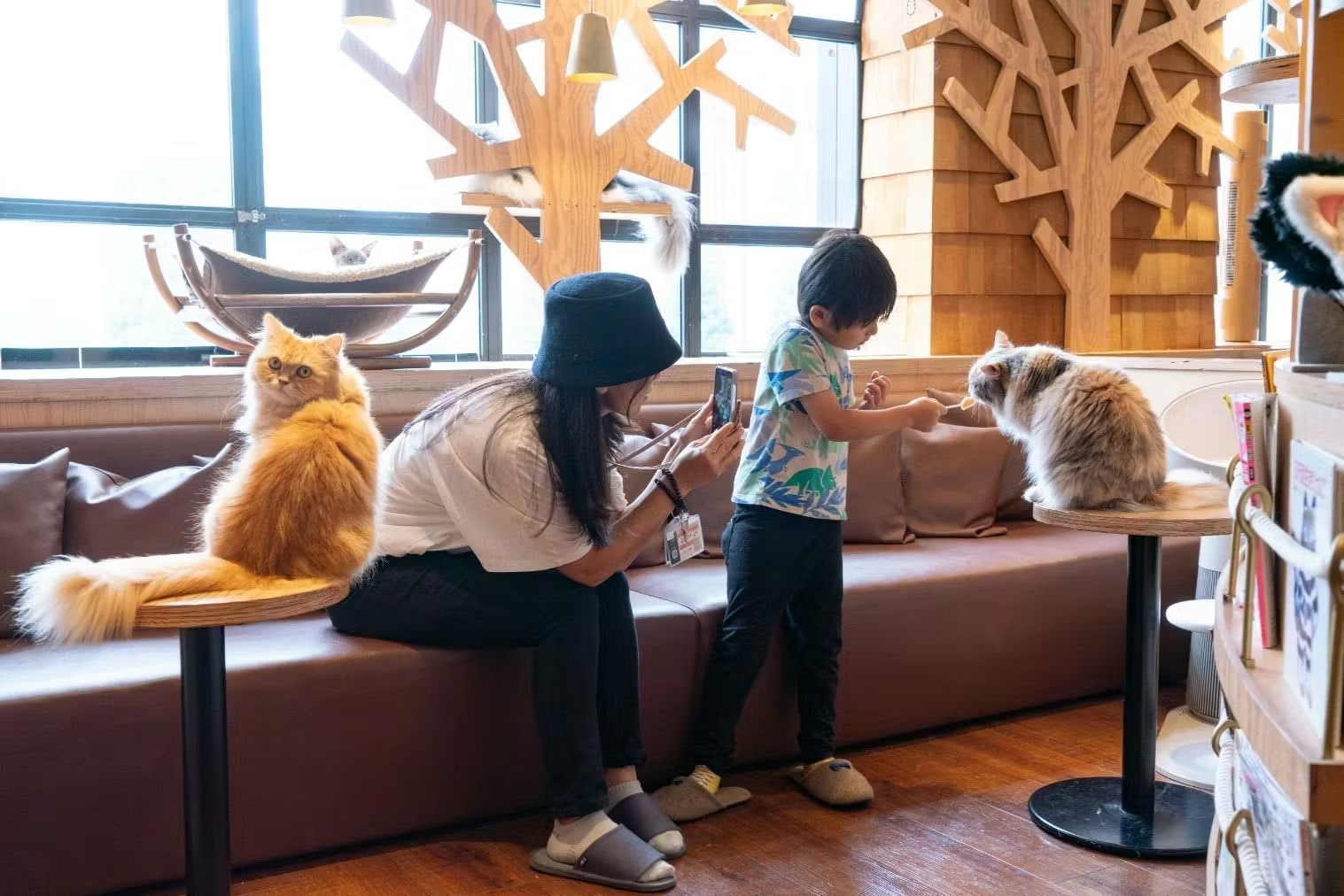 Tokyo Cat Cafe MOCHA Ikebukuro Main Store Admission Ticket