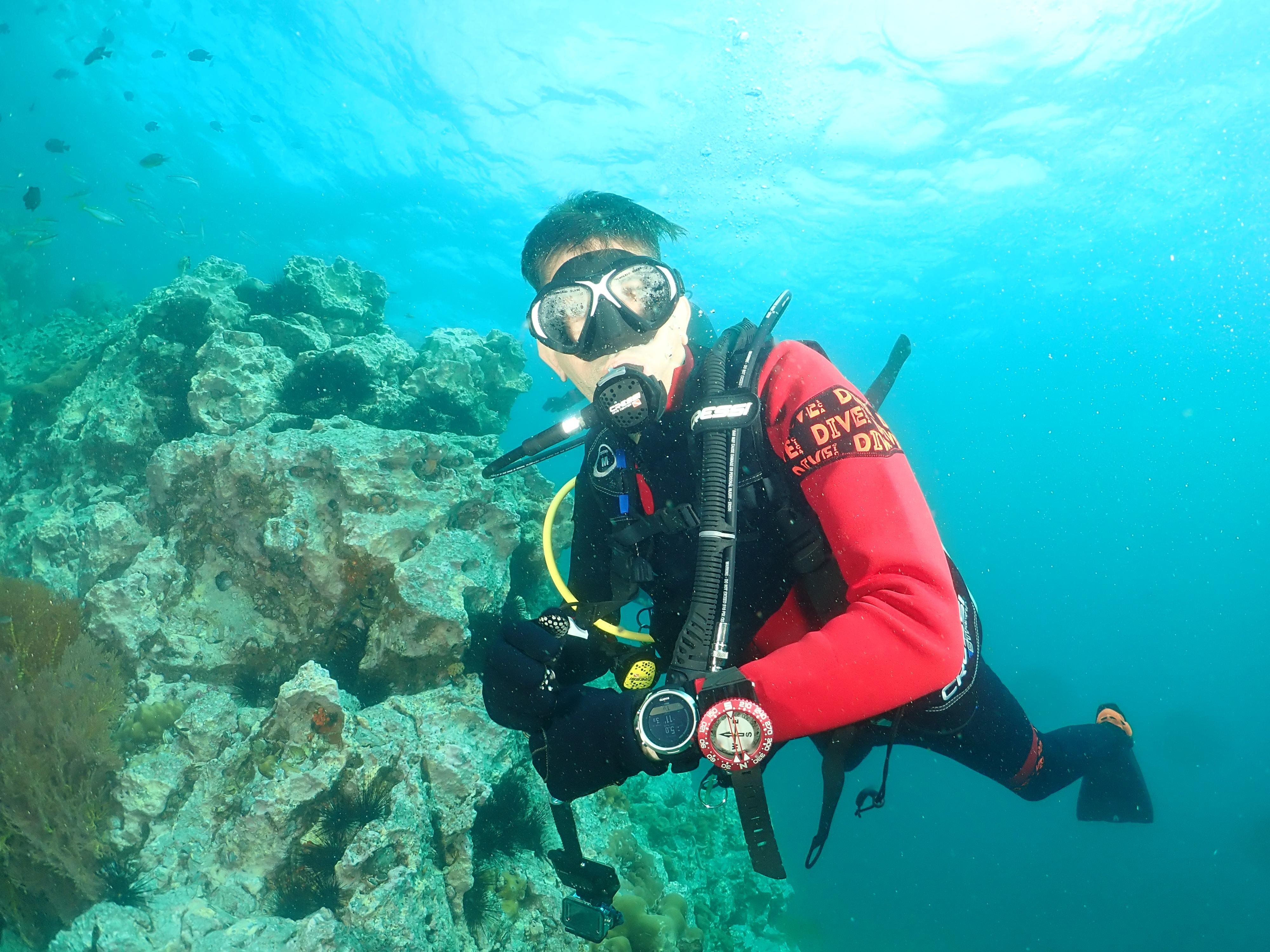 Phuket Phi Phi & Shark Point 3-Dive Fun Diving Tour - Certified Divers Only