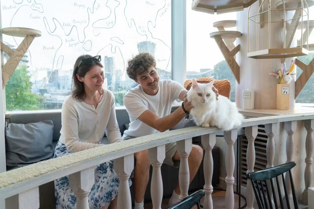 Tokyo Cat Cafe MOCHA Harajuku Admission Ticket