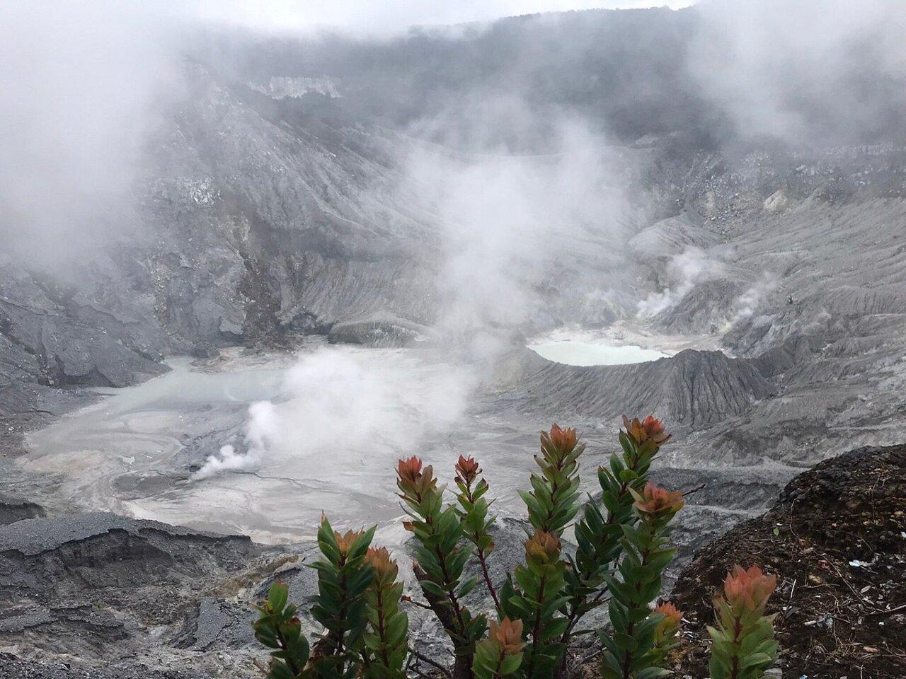 From Jakarta: Tangkuban Perahu Volcano & Ciater Hot Spring Tour - Tea Plantation & Lunch
