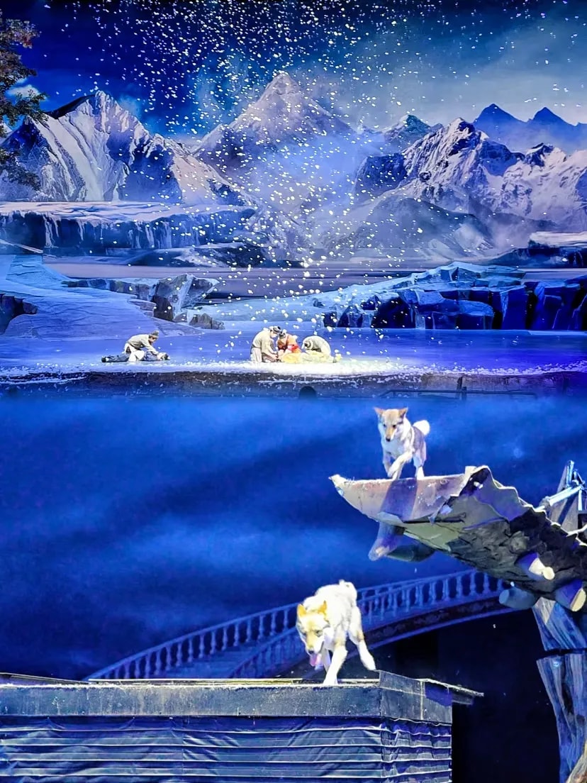 Xi'an Silk Road Show Legend of the Camel Bells Premium Zone Ticket