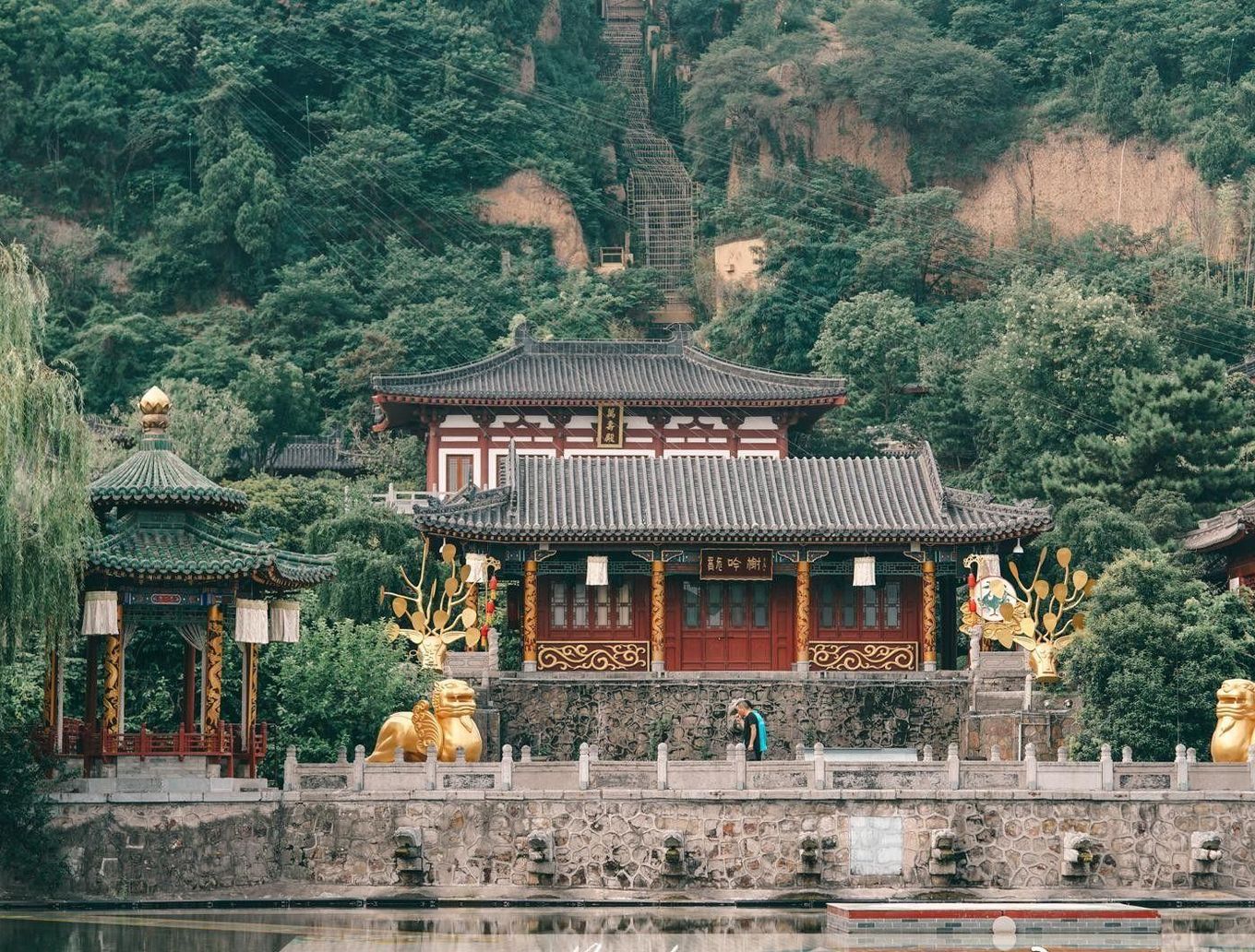 detail_image