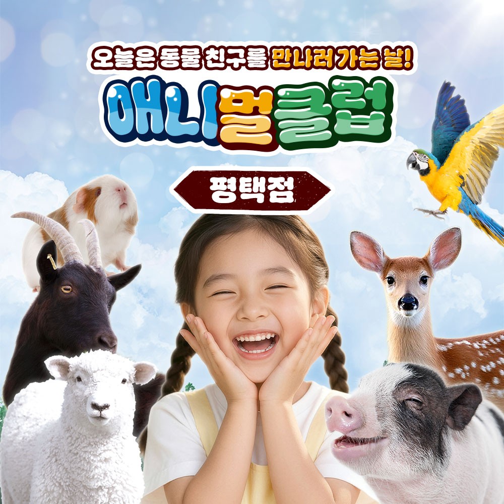 경기 평택 애니멀클럽 평택점 이용권